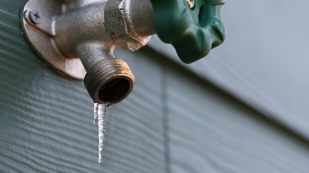 Best Sprinkler Systems  in Sumter, SC